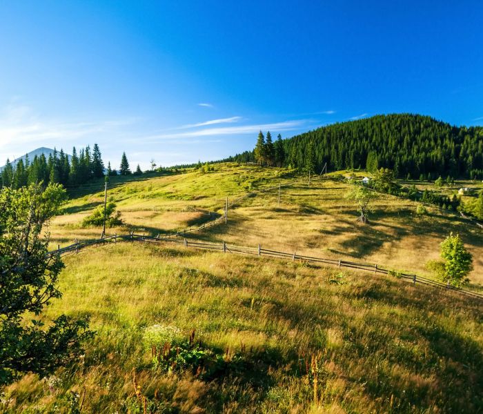 Architektura z historią